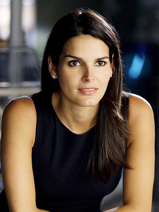 Angie Harmon on "Inconceivable"
